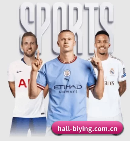 hall-biying.com.cn的故事