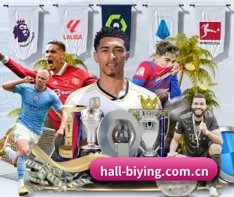 hall-biying.com.cn APP